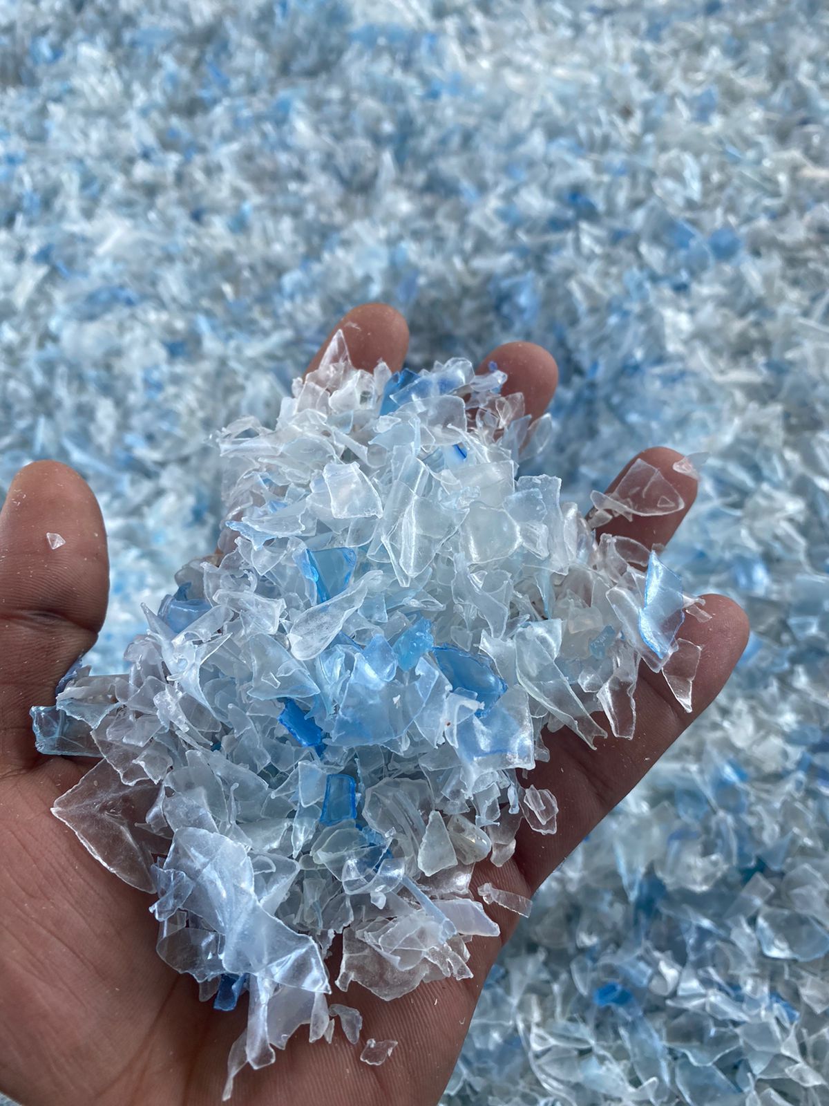 Изображение WhatsApp 12.11.2024 от 21.25.57